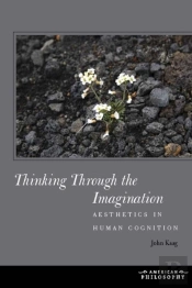 Thinking Through The Imagination