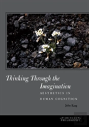 Thinking Through The Imagination