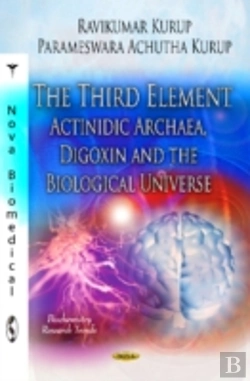 Bertrand.pt - Third Element