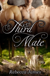 Third Mate