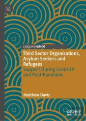 Third Sector Organisations, Asylum Seekers And Refugees