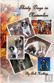 Thirty Days In November