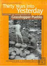 Thirty Years Into Yesterday