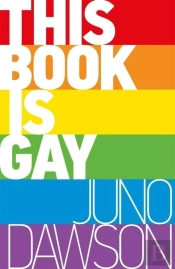 This Book Is Gay
