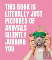 This Book Is Literally Just Pictures Of Animals Silently Judging You