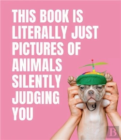 Bertrand.pt - This Book Is Literally Just Pictures Of Animals Silently Judging You