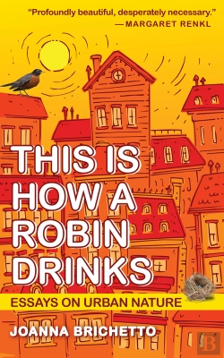 Bertrand.pt - This Is How A Robin Drinks