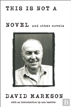 Bertrand.pt - This Is Not A Novel And Other Novels