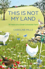 This Is Not My Land