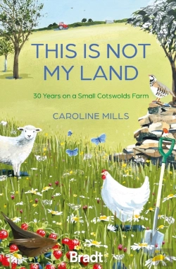 Bertrand.pt - This Is Not My Land