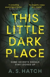 This Little Dark Place