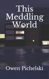 This Meddling World