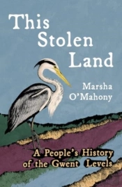 This Stolen Land