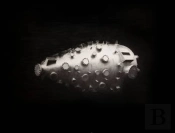 Thomas Feuerstein. Futur Ii