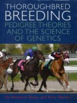 Bertrand.pt - Thoroughbred Breeding