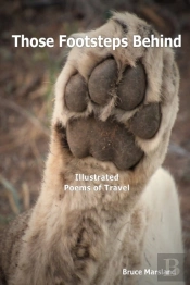 Those Footsteps Behind: Illustrated Poems Of Travel