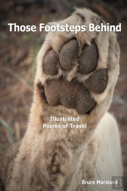Bertrand.pt - Those Footsteps Behind: Illustrated Poems Of Travel