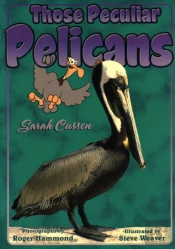 Those Peculiar Pelicans