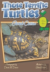 Those Terrific Turtles