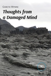 Thoughts From A Damaged Mind