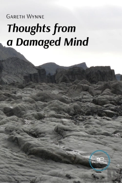 Bertrand.pt - Thoughts From A Damaged Mind