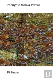 Thoughts From A Forest