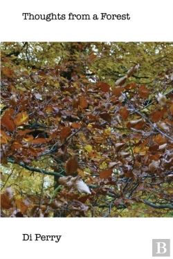 Bertrand.pt - Thoughts From A Forest