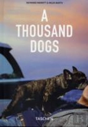 Thousand Dogs
