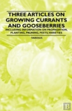 Bertrand.pt - Three Articles On Growing Currants And Gooseberries - Including Information On Propagation, Planting, Pruning, Pests, Varieties