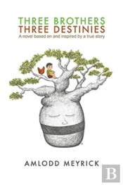 Three Brothers - Three Destinies