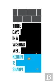 Three Days In A Wishing Well