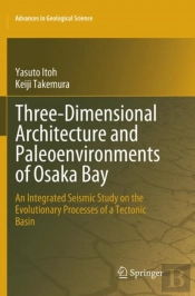 Three-Dimensional Architecture And Paleoenvironments Of Osaka Bay