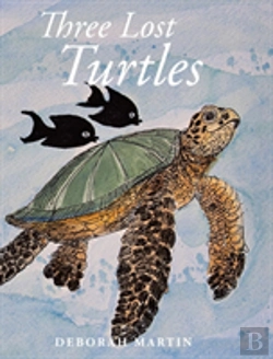 Bertrand.pt - Three Lost Turtles