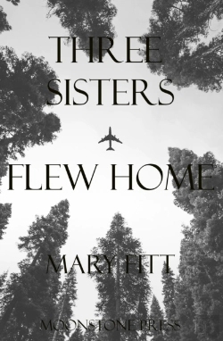 Bertrand.pt - Three Sisters Flew Home
