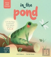 Three Step Stories: In The Pond