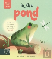 Three Step Stories: In The Pond