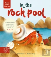 Three Step Stories: In The Rock Pool