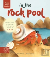 Three Step Stories: In The Rock Pool