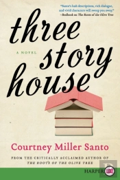 Three Story House