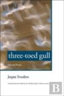 Three-Toed Gull