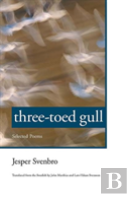 Three-Toed Gull