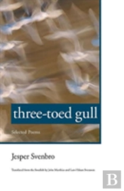 Three-Toed Gull