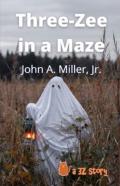 Three-Zee In A Maze