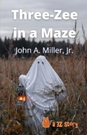 Three-Zee In A Maze