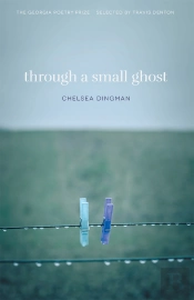 Through A Small Ghost