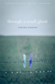 Through A Small Ghost