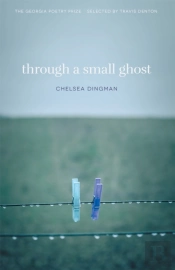 Through A Small Ghost
