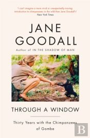 Through A Window