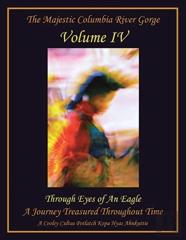 Through Eyes Of An  Eagle