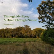 Through My Eyes; A Drive Through Nature